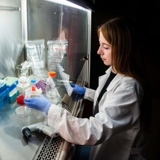 Student performing experiment in the lab.